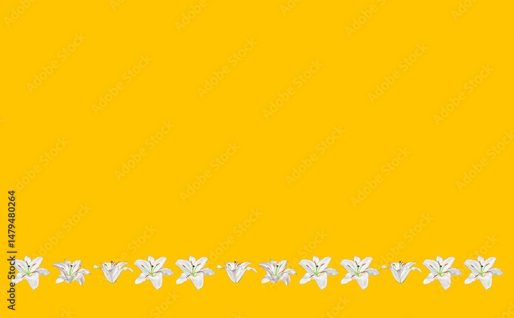 Obraz premium 百合 ①