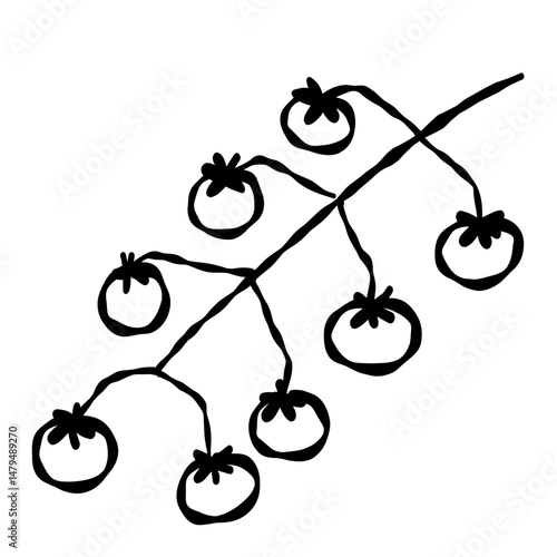 grappe de tomates cerises au pinceau