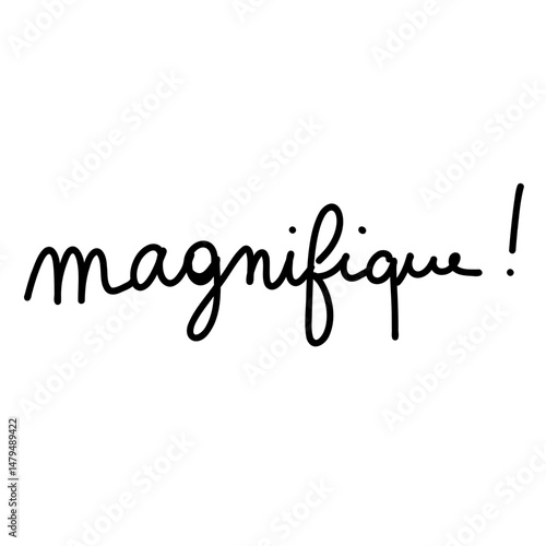 magnifique lettrage à la main noir