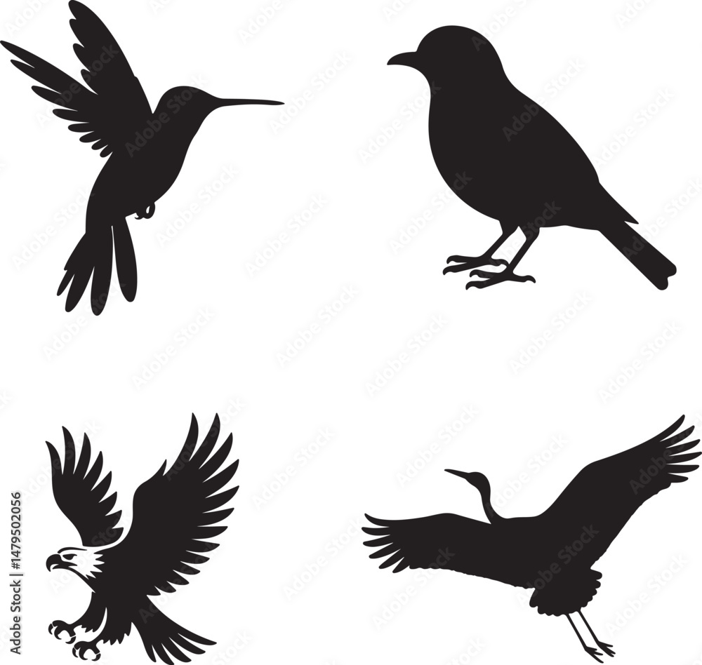 Fototapeta premium Set Of bird Silhouette Vector Art Design
