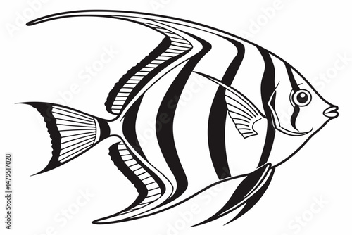angelfish sihouette black vector