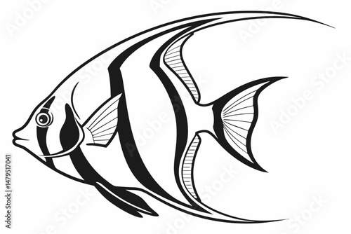 angelfish sihouette black vector