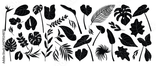 Collection of silhouette leaf elements. Set of tropical plants, leaf branch, palm, monstera, maple, foliage, flower. Hand drawn of botanical vectors for decor, website, graphic, decorative.
