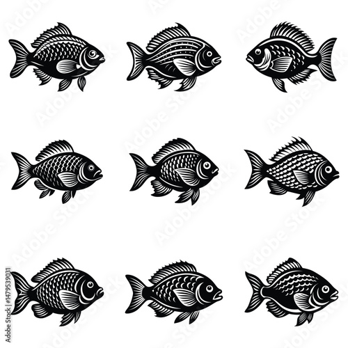 Tropical River Fish Designs in Black and White Coastal Characters Black Vector Fish Icons, Tilapia fish silhouette vector illustration