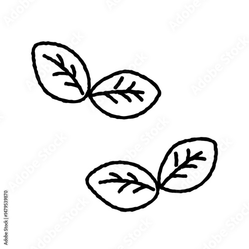 ミントの葉っぱの線画2個