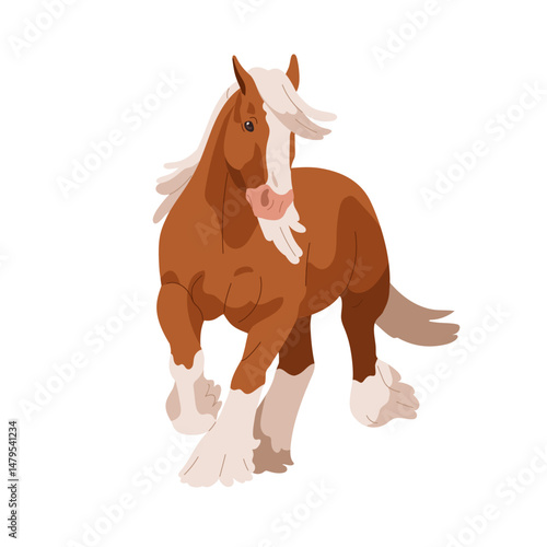 Draft work horse, heavy cob. Strong muscular equine animal, thoroughbred stallion in motion, movement. Powerful beautiful breed with feathering. Flat vector illustration isolated on white background