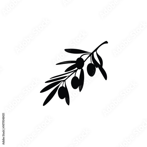 olive branch vector illustration