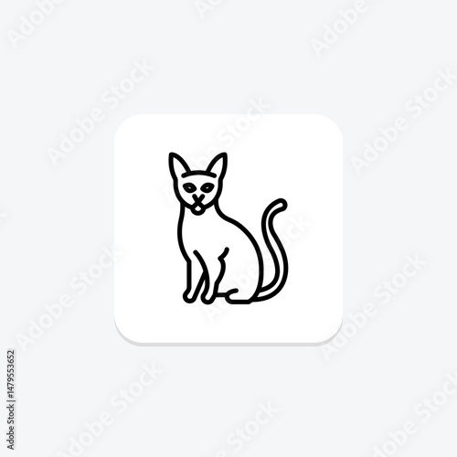 Abyssinian Cat, vector, pixel perfect, illustrator file