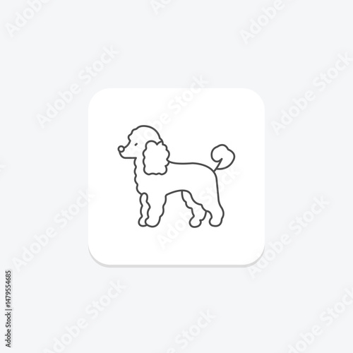 Poodle, vector, pixel perfect, illustrator file