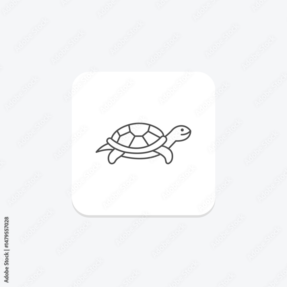 Fototapeta premium Red Eared Slider, vector, pixel perfect, illustrator file