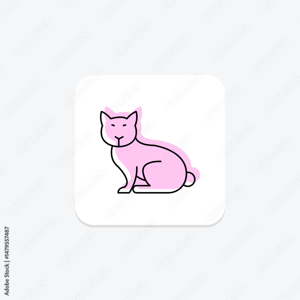 Obraz premium Siamese Cat, vector, pixel perfect, illustrator file