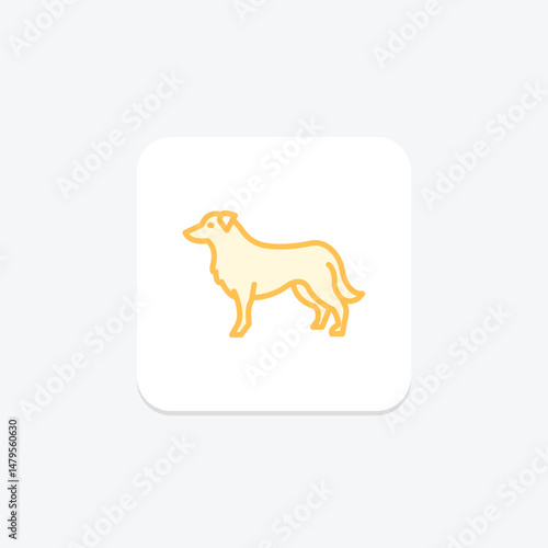Border Collie, vector, pixel perfect, illustrator file