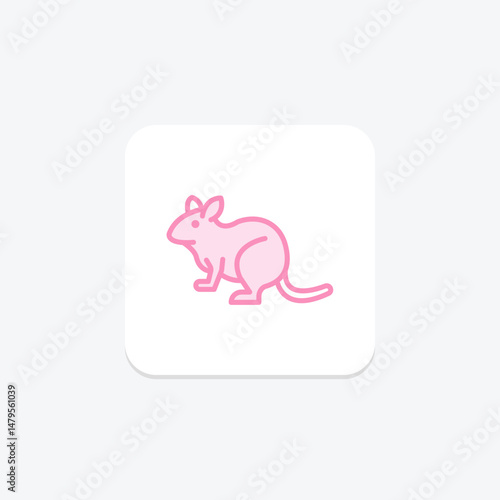 Degu, vector, pixel perfect, illustrator file