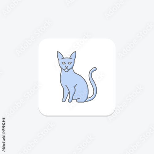 Abyssinian Cat, vector, pixel perfect, illustrator file