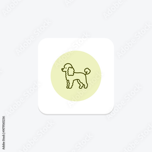 Poodle, vector, pixel perfect, illustrator file