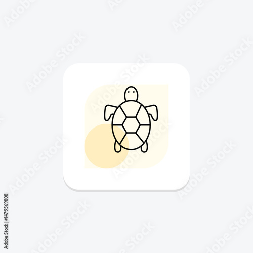 Tortoise, vector, pixel perfect, illustrator file