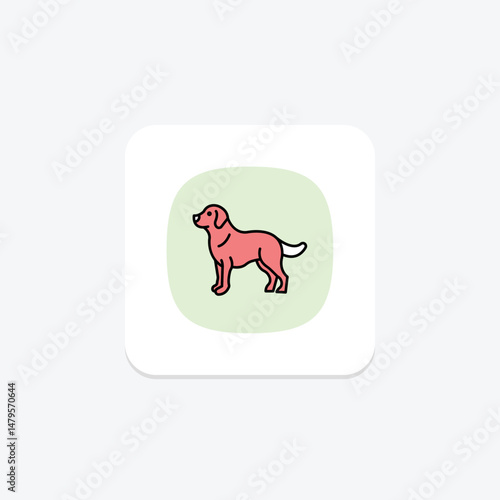 Golden Retriever, vector, pixel perfect, illustrator file
