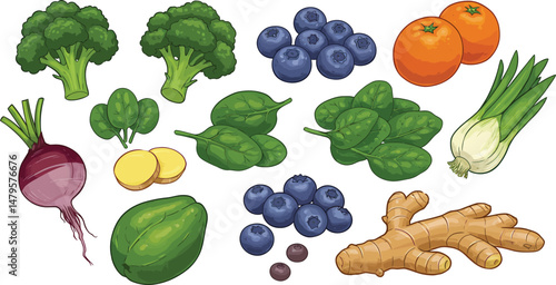 Vector Superfoods and Healthy Ingredients Illustration