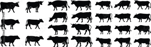 A collection of cow silhouettes arranged in a grid pattern