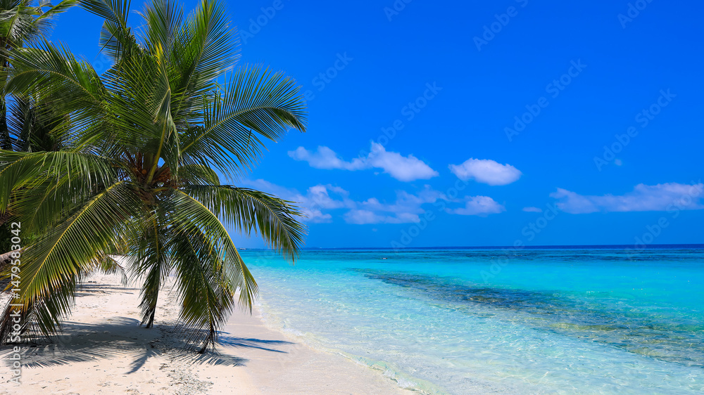 Obraz premium Panorama of tropical beach with coconut palm trees as white sand beach background