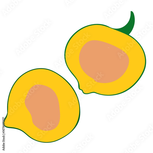 acorn squash cut into half cartoon illustration useful for projects lifestyle healthy nutrition vegetable (1).eps