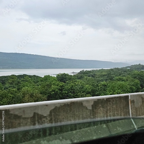  Misty Forest Under Cloudy Sky


