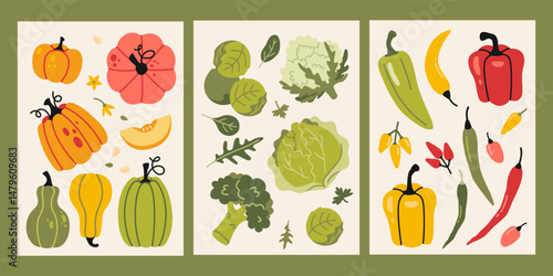 Vertical cards with pumpkins, cabbage, broccoli, Brussels sprouts, arugula, spinach and peppers. Healthy eating, vitamins and natural nutrition. Trendy modern vector illustrations, flat