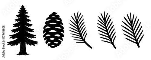 Silhouette of Sequoia Tree, Cone, and Needles