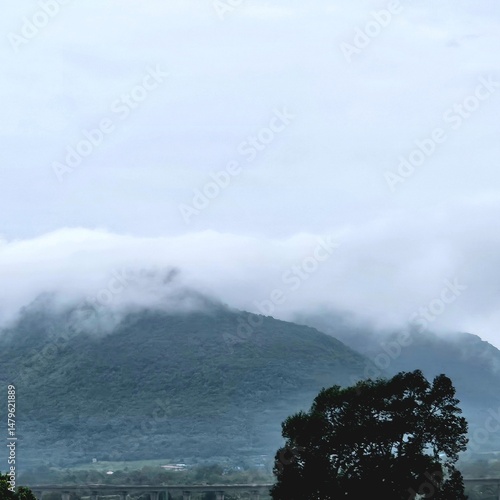  Misty Forest Under Cloudy Sky with Streetlight

