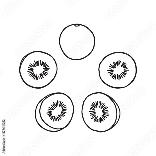 Line Art Vector Drawing of Fresh Kiwi Fruits