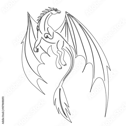 dragon flying line drawing , vector