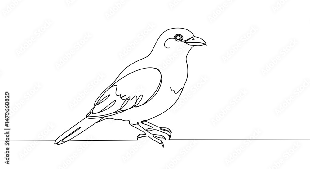 Fototapeta premium Line art of a bird on white background