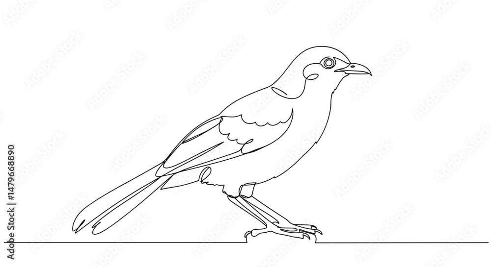 Fototapeta premium Bird illustration in linear style with minimalist design 