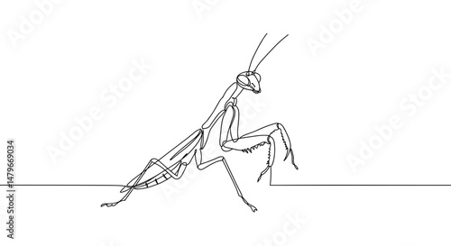 Minimalist Praying Mantis Line Art Illustration