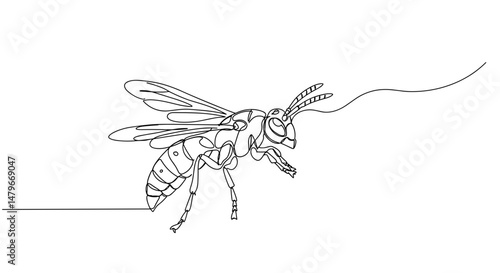 Line art wasp on white background