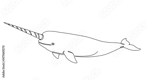 Line drawing of narwhal with horn