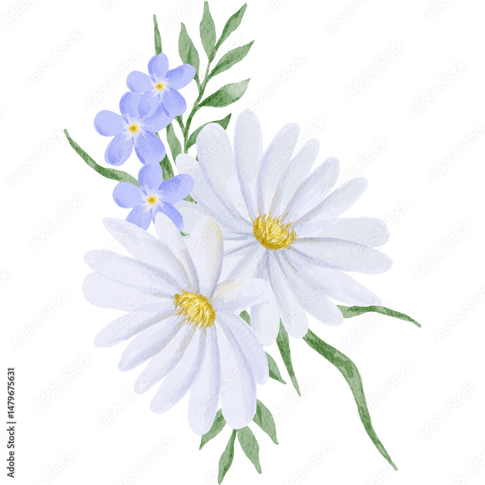 Fototapeta premium Arrangement of White Daisy Ornament Watercolor