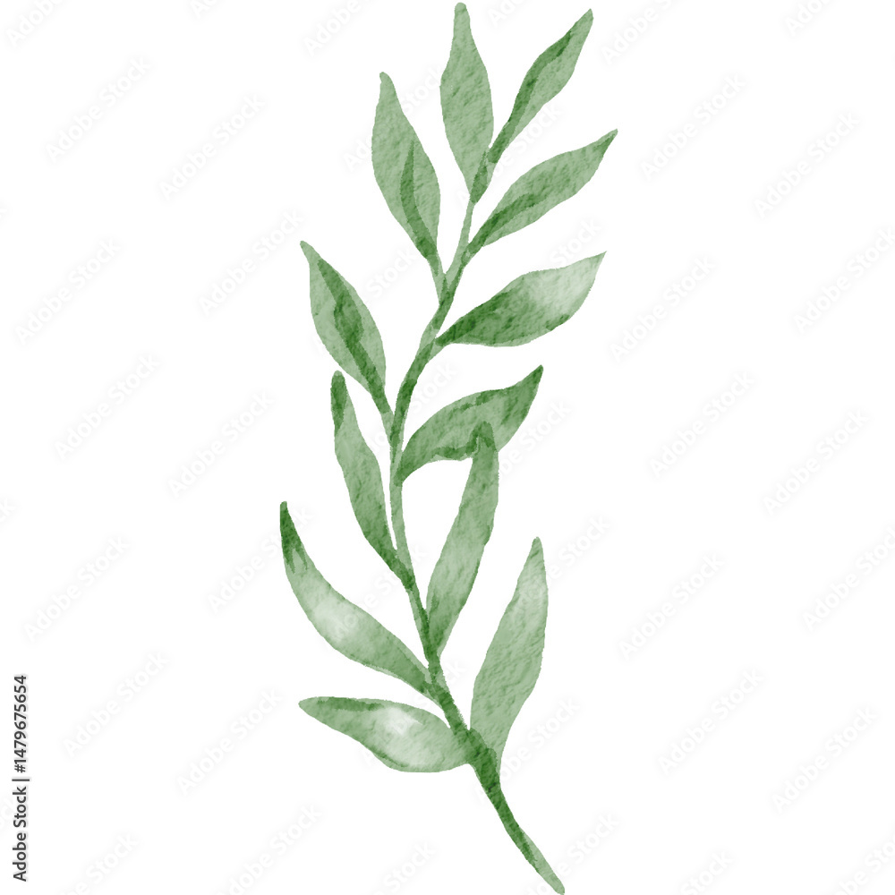 Obraz premium Single Branch of Leaves Watercolor