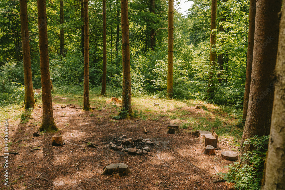 Obraz premium Extinguished coals in a forest fireplace.