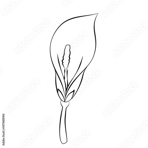sketch of a flower