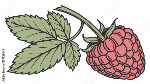 Vector Fresh raspberry with green leaves, vibrant and juicy, perfect for desserts or smoothies