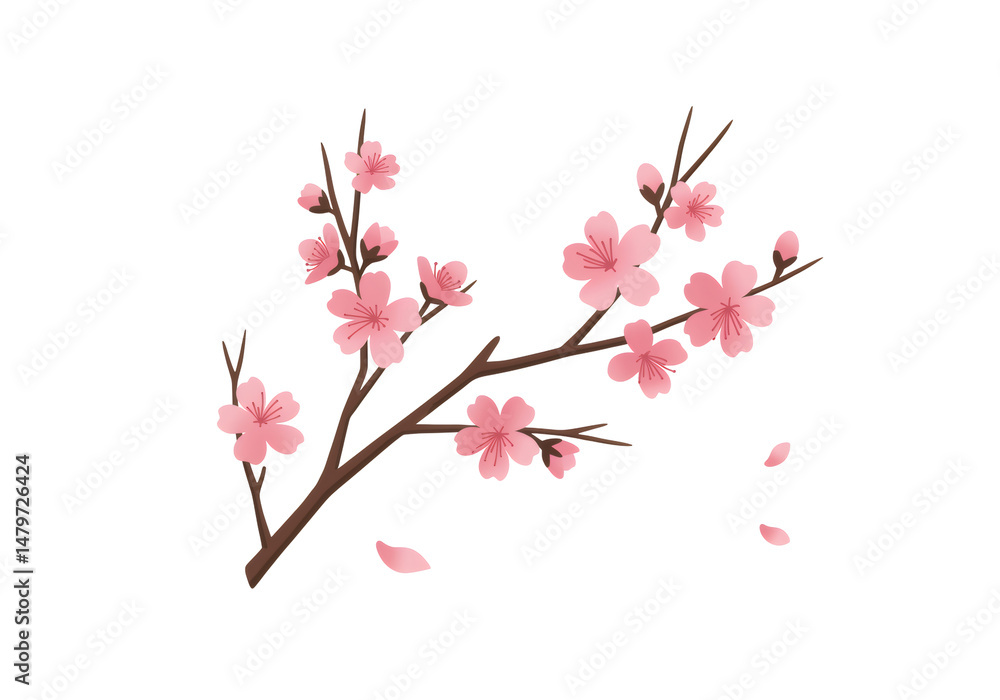 透明な背景にピンク色の桜の花が咲く枝と花びらが散りばめられた繊細で美しい装飾的なイラスト 透明な背景にピンク色の桜の花が咲く枝と花びらが散りばめられた繊細で美しい装飾的なイラスト