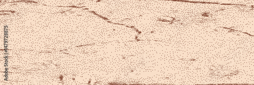 Grainy eggshell texture background. Organic beige pattern with dust overlay effect. Vector illustration.