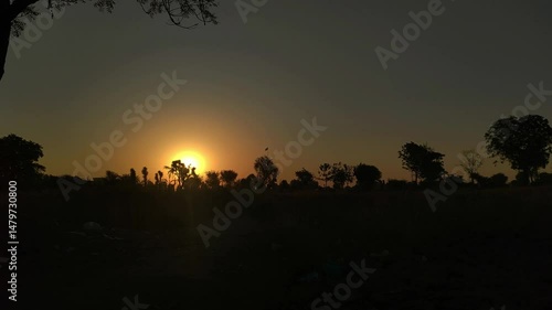 Beautiful sunset over rural countryside with silhouetted trees and golden sky, perfect for nature, travel, and landscape design