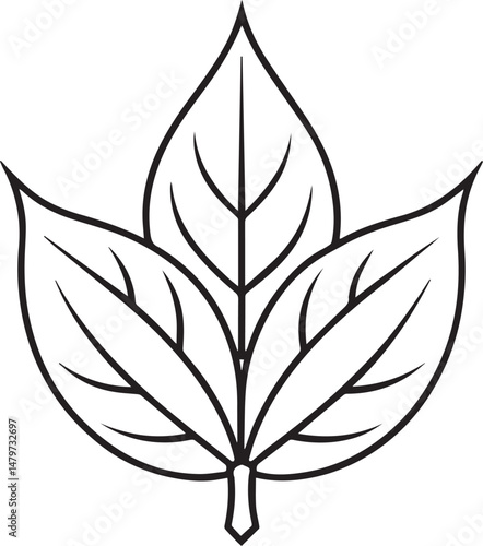 Leaf outline vector illustration line art	