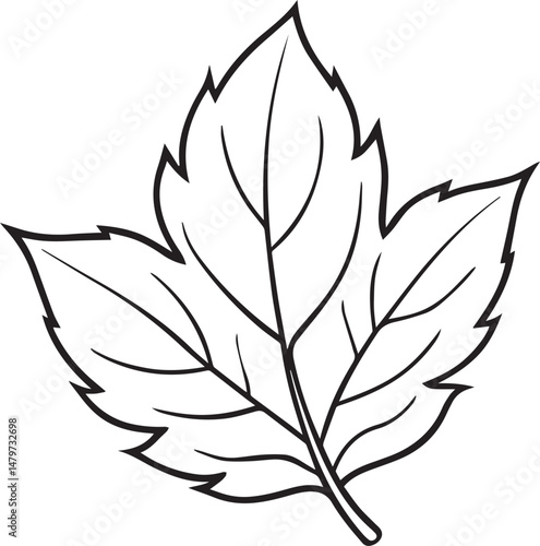 Leaf outline vector illustration line art	