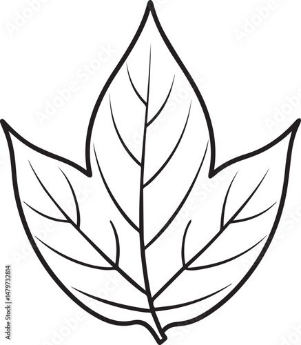 Leaf outline vector illustration line art	