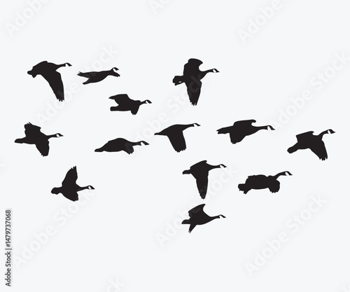 colletion of flying geese silhouette vector illustration art