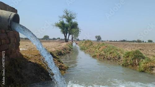 Serene irrigation stream with pure water flowing in a rural agricultural landscape