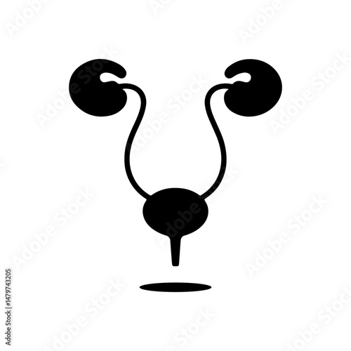 Urinary System Vector Icon Anatomical Silhouette in Black on White.